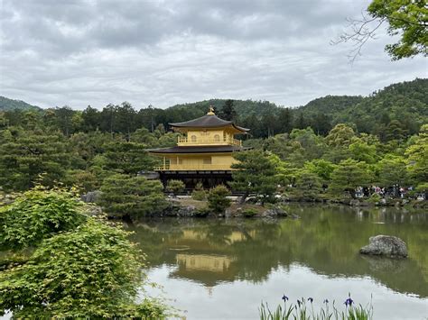 De Eizô-mandalas! Een Reis Doorheen Tijd en Spirituele Verkenning in 7e Eeuws Japan